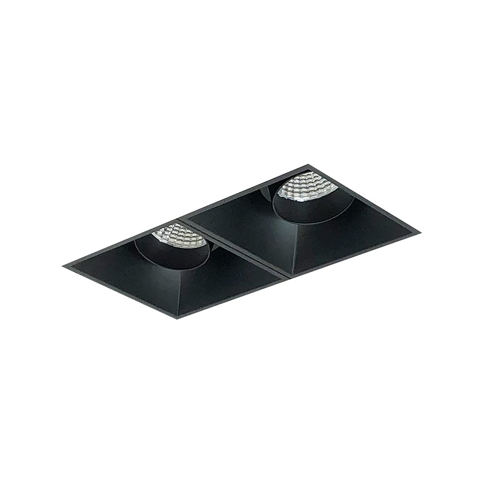 Iolite MLS 2-Head Trimless Reflector Kit, 3000K, 1000lm, Black Adj. Snoot Trims