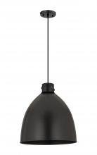  410-1PL-BK-M412-18BK - Newton Sphere - 1 Light - 18 inch - Matte Black - Cord hung - Pendant