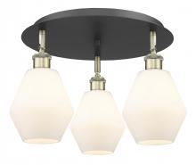 Innovations Lighting 516-3C-BAB-G651-6 - Cindyrella - 3 Light - 18 inch - Black Antique Brass - Flush Mount