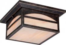 Nuvo 60/5656 - Canyon - 2 Light - Flush with Honey Stained Glass - Umber Bronze Finish Finish