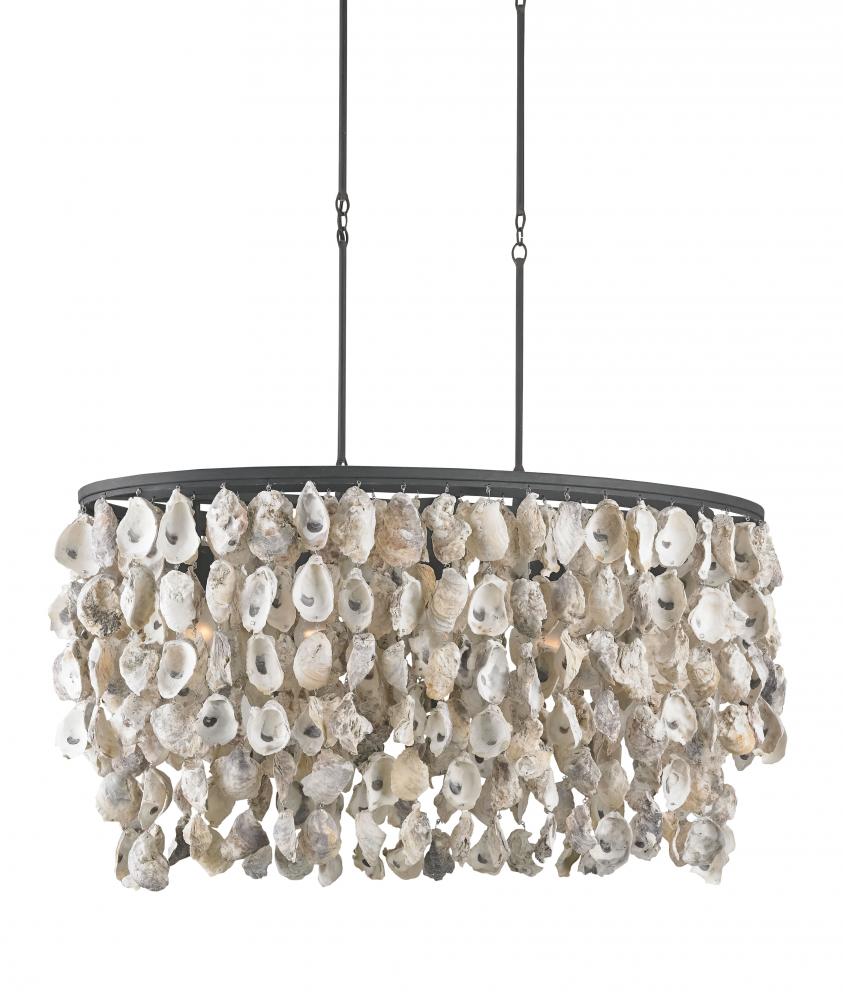 Stillwater Oyster Shell Oval Chandelier